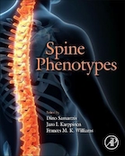 Spine Phenotypes | فنوتیپ های ستون فقرات